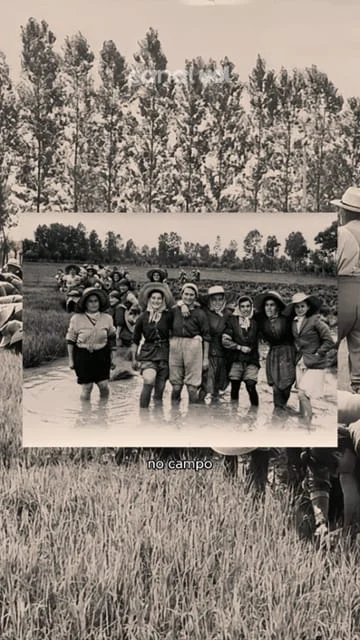 2025/12 — o risoto italiano com feijão e vinho tinto: uma tradição