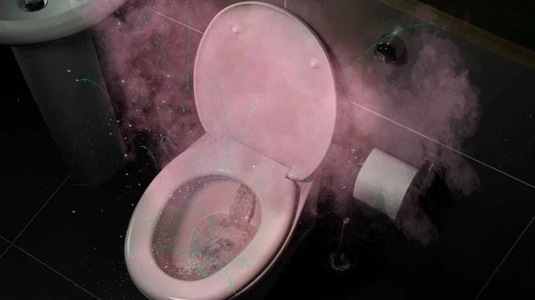 Tampa do vaso: a decisão crucial que ignoram na sua saúde!