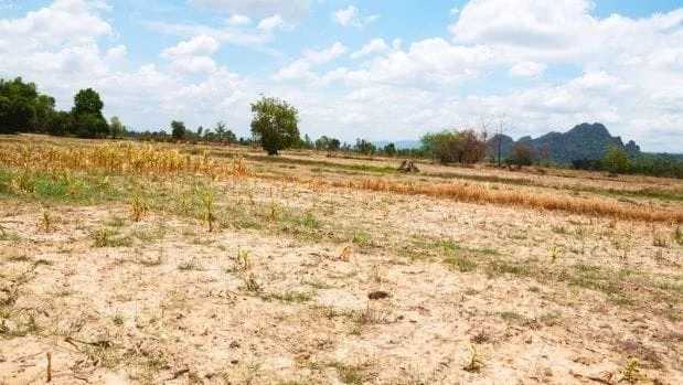 Crise climática ameaça seguro rural: produtores em risco!