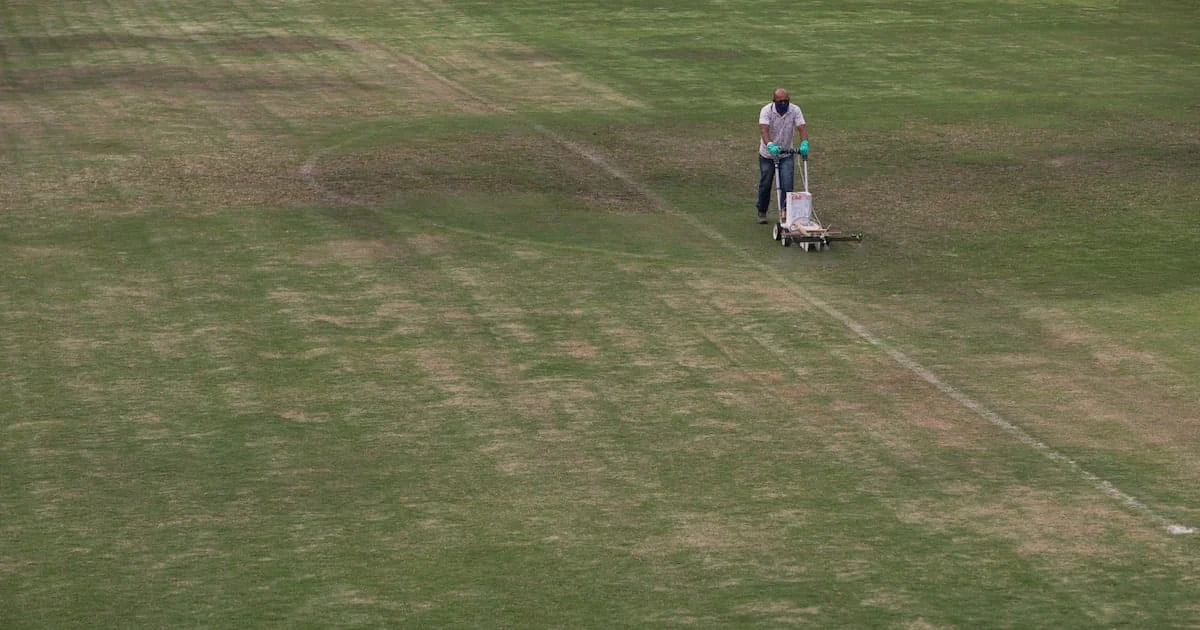 Juventus revoluciona a javari: grama sintética aprovada!