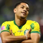 2025/12 — palmeiras: avaliando os possíveis acertos com os reforços de 2025