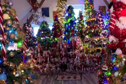 621 árvores! Recorde mundial absurdo quebra a internet