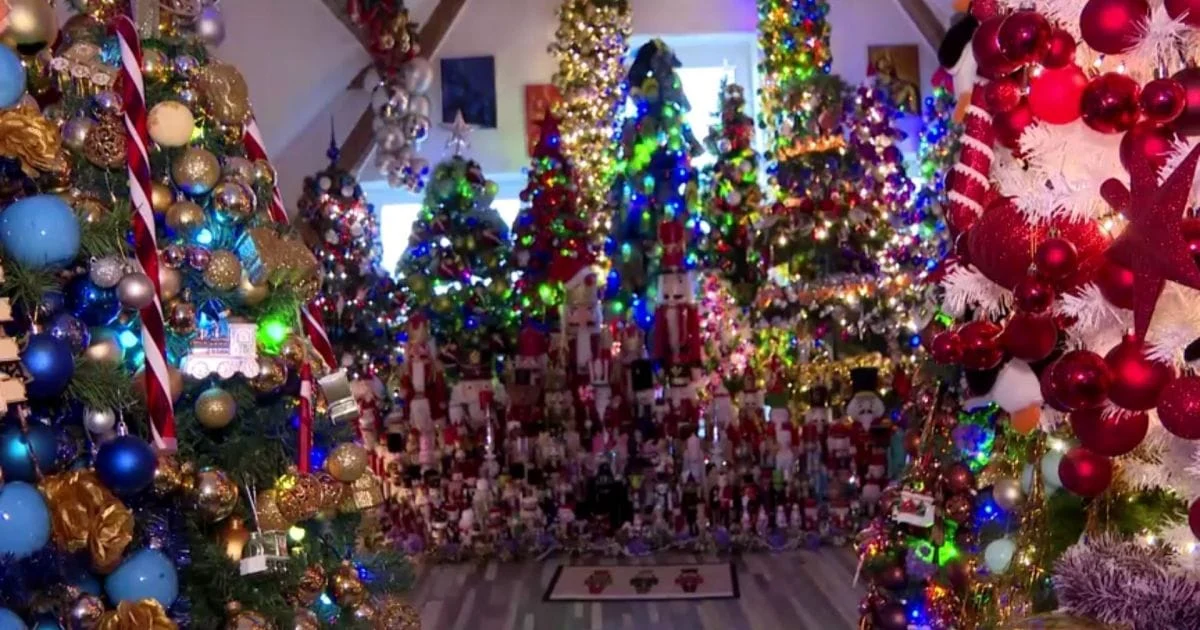 621 árvores! Recorde mundial absurdo quebra a internet