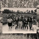 2025/12 — risoto de feijão e vinho tinto: descubra a origem e os melhores lugares para saborear essa delícia italiana