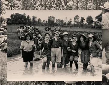 2025/12 — risoto de feijão e vinho tinto: descubra a origem e os melhores lugares para saborear essa delícia italiana