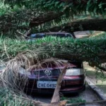 2025/12 — carro atingido por árvore: entenda quem paga o prejuízo e como pedir ressarcimento