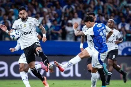 Botafogo x cruzeiro hoje (29/01): saiba onde assistir, horário e