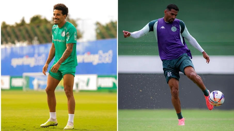 Palmeiras busca liderança geral e guarani luta por g 8 no