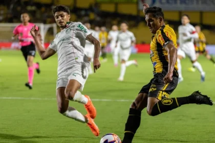 Palmeiras x novorizontino: final do campeonato paulista começa na quarta;