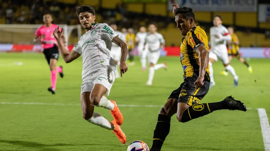 Palmeiras x novorizontino: final do campeonato paulista começa na quarta;