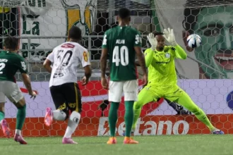Carlos miguel celebra noite de herói no palmeiras com defesa