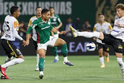 Novorizontino x palmeiras: odds disparam para jogo decisivo com título