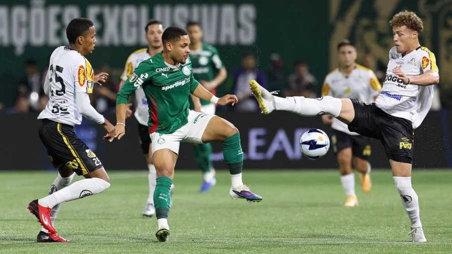Novorizontino x palmeiras: odds disparam para jogo decisivo com título