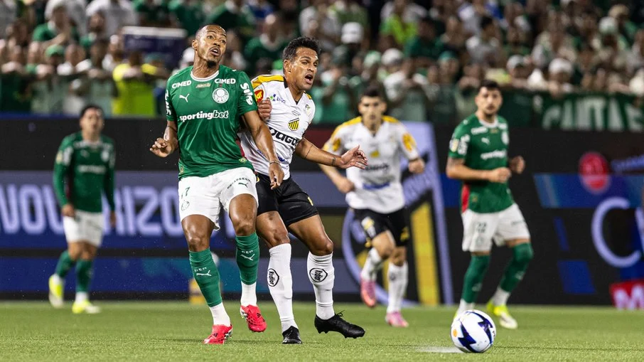 Novorizontino x palmeiras: onde assistir, horário e tudo sobre a