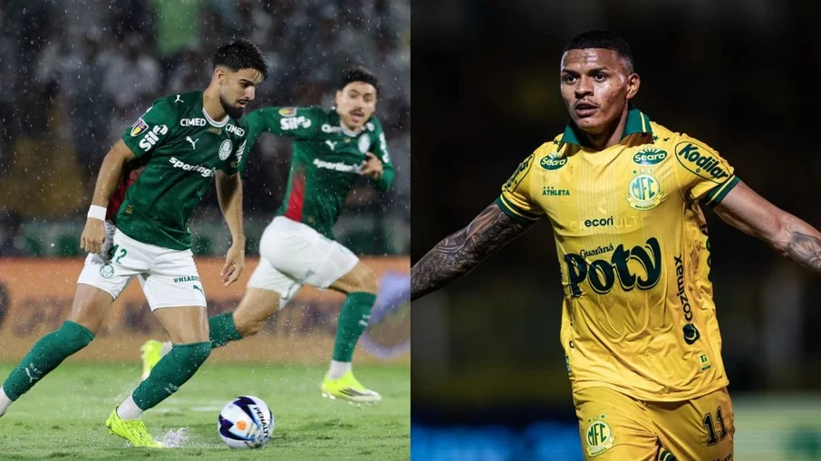 Palmeiras volta ao allianz parque após reforma do gramado e