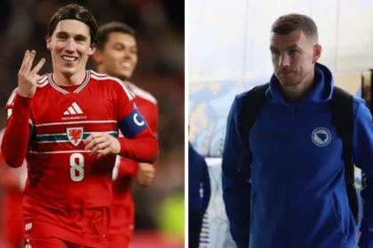 Gales x bósnia e herzegovina: repescagem da copa do mundo