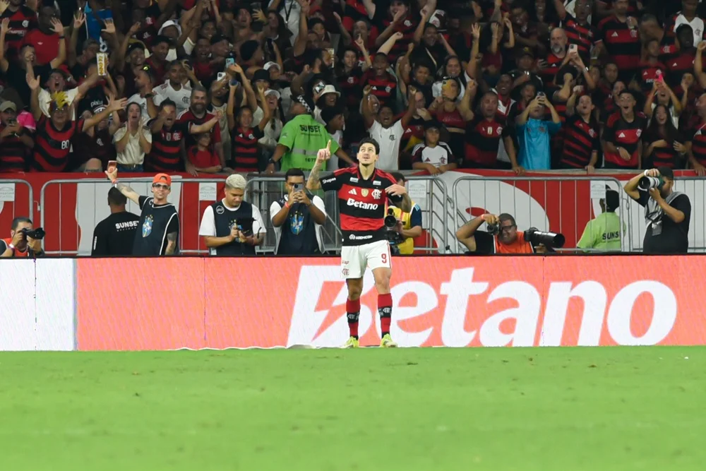Flamengo vence santos de virada e sobe na tabela do
