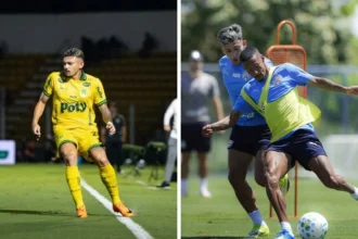 Palpite mirassol x bahia: leão, embalado na liberta, tenta sair