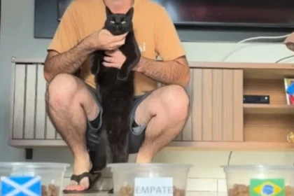 Gato vidente milu acerta todos os jogos do brasil na