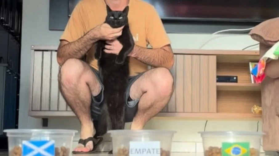 Gato vidente milu acerta todos os jogos do brasil na