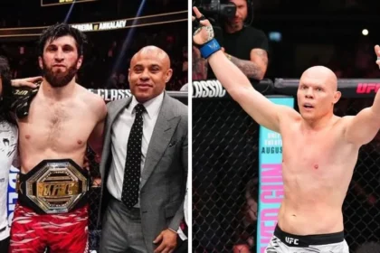 Ufc abu dhabi 2026: magomed ankalaev e bogdan guskov lideram