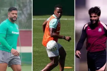 Brasileirão série a: palmeiras tenta manter liderança, flamengo persegue e
