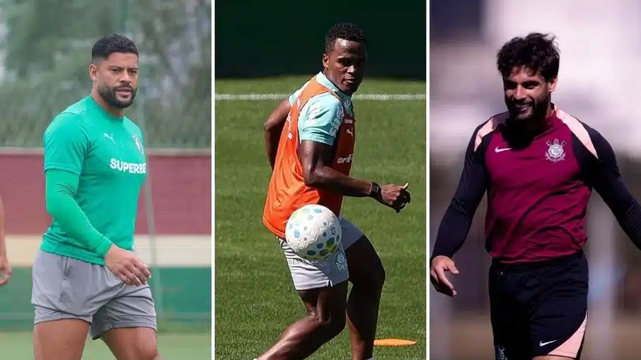 Brasileirão série a: palmeiras tenta manter liderança, flamengo persegue e