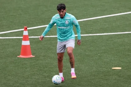 Revés no palmeiras: gustavo gómez sofre lesão e desfalca time