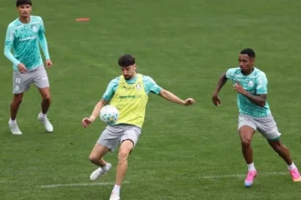 Allan do palmeiras eleva confronto contra fluminense a ‘final’ no