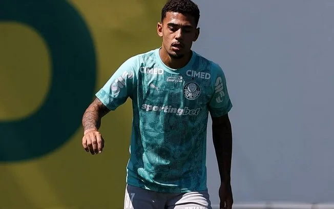 Palmeiras encaminha venda de riquelme fillipi, promessa da base, para