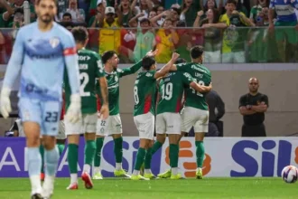 Palmeiras busca liderança do brasileirão e defende invencibilidade histórica de
