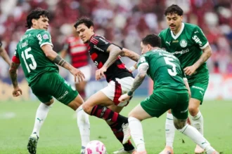 Flamengo sonha em disparar sobre palmeiras na liderança do brasileirão