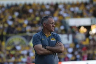 Eduardo baptista assume o comando do internacional com contrato até