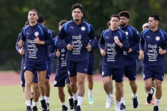 Palmeiras fretará voos para antecipar retorno de convocados: gustavo gómez